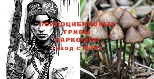 синтетический гашиш Алексин