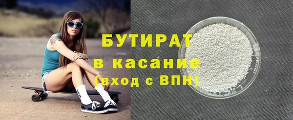 хмурый Аркадак